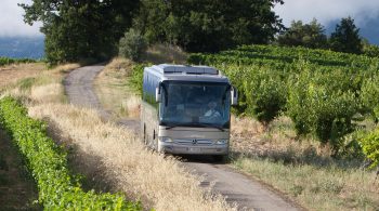 mercedes car leasing ldeals